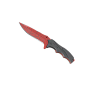 Front skin